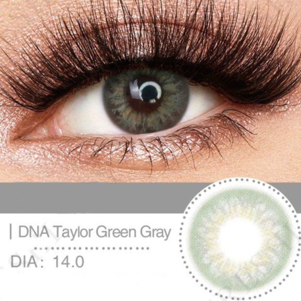 DNA TAYLOR GREEN GRAY