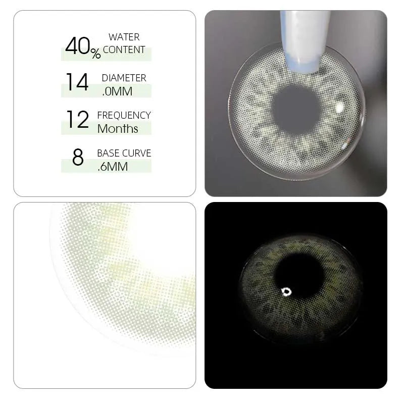 DNA TAYLOR GREEN GRAY