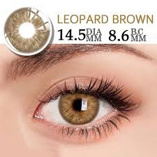 LEOPARD BROWN