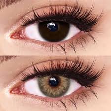 -DNA TAYLOR BROWN HAZEL